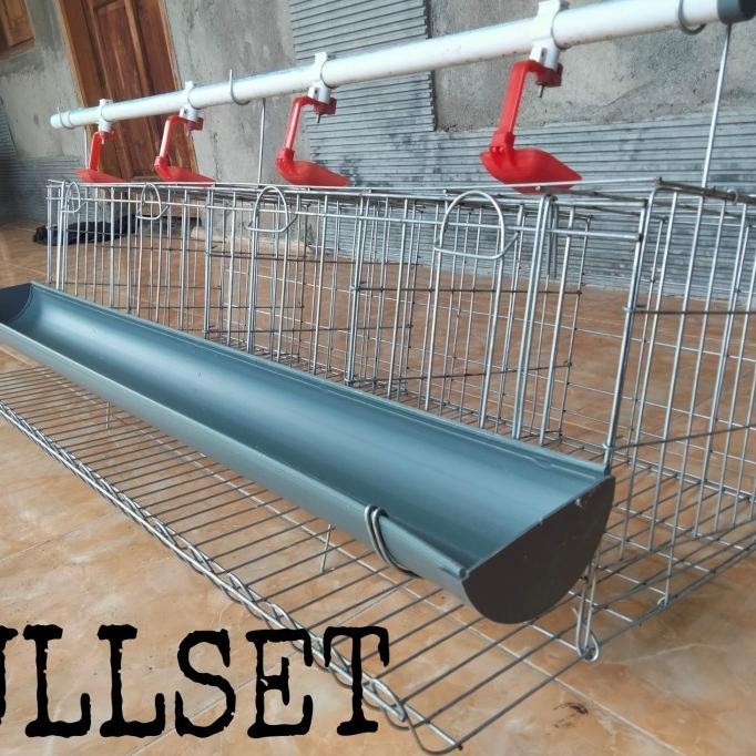 KANDANG BATRE AYAM DAN BEBEK PETELUR PINTU 4 FULLSET