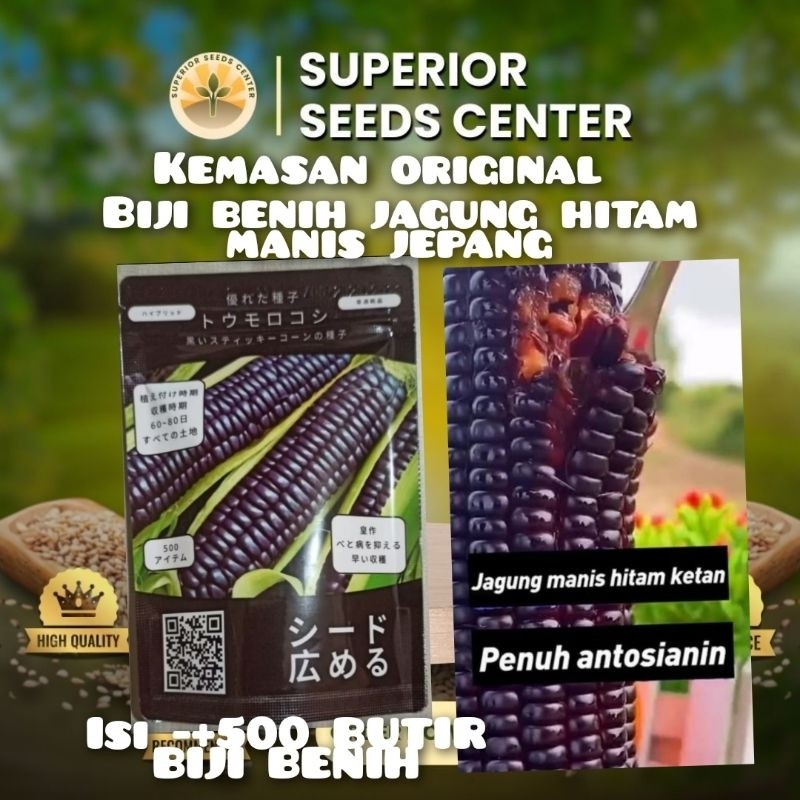 (isi 500 butir)kemasan original biji benih jagung ketan hitam manis jepang impor F1 (isi 500 butir b