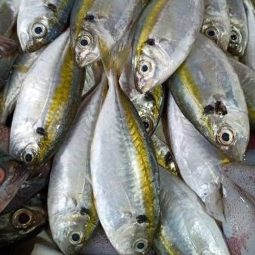

Ikan Selar Segar 500gr