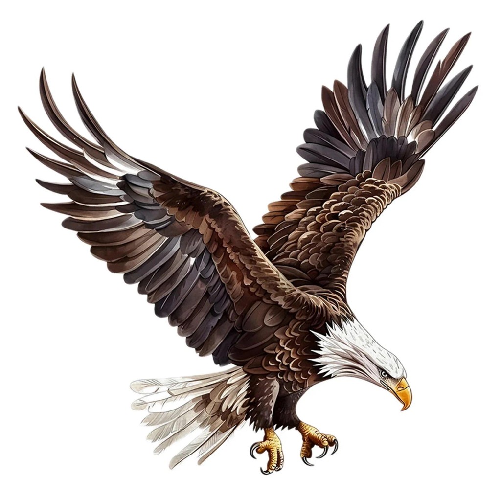 

Easy To Apply Easy To Apply Flying Eagle Wall Decal Specification Air Bubbles Clean And Smooth Compact Easy To Apply