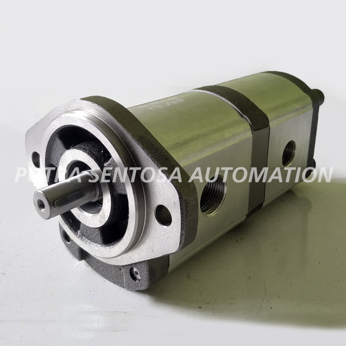 DOUBLE GEAR PUMP 2D 20CC 11CC BY HONOR