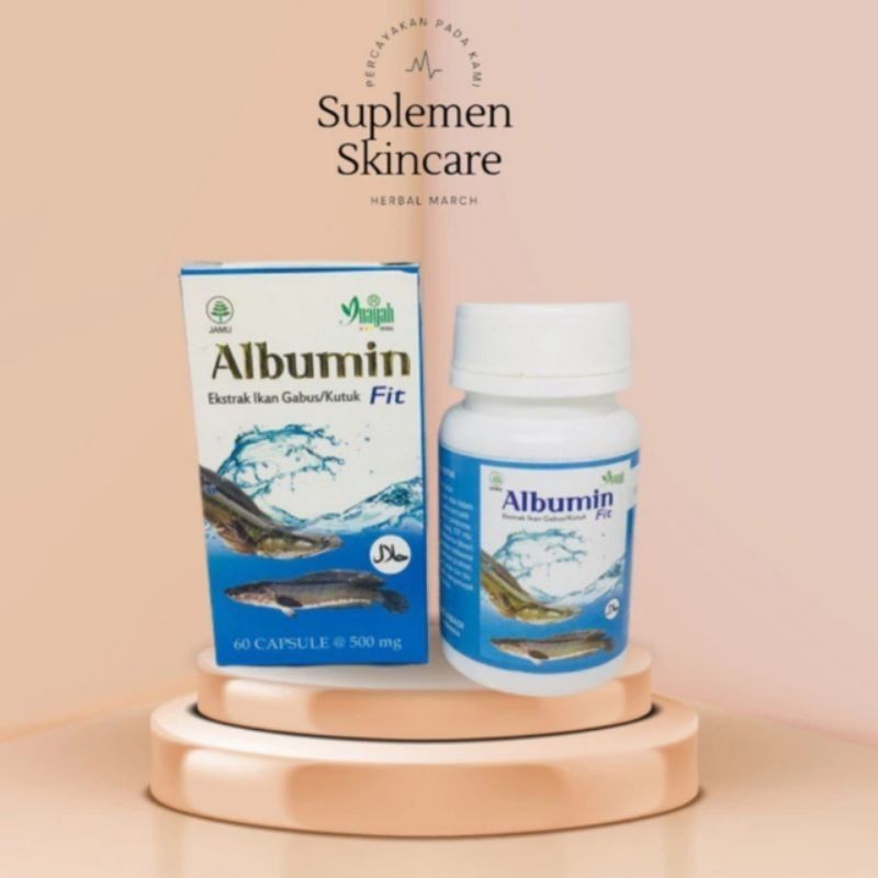 Sabana Herbal - KAPSUL ALBUMIN FIT KAPSUL IKAN GABUS KAPSUL KUTUK