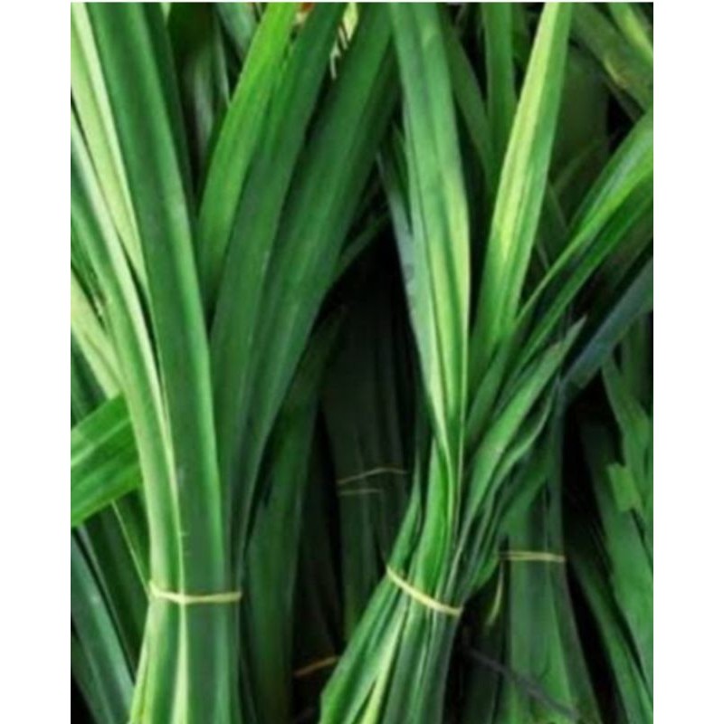 

daun pandan wangi fresh 1 iket murah
