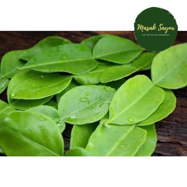 

PROMO TERLARIS Daun jeruk bandung