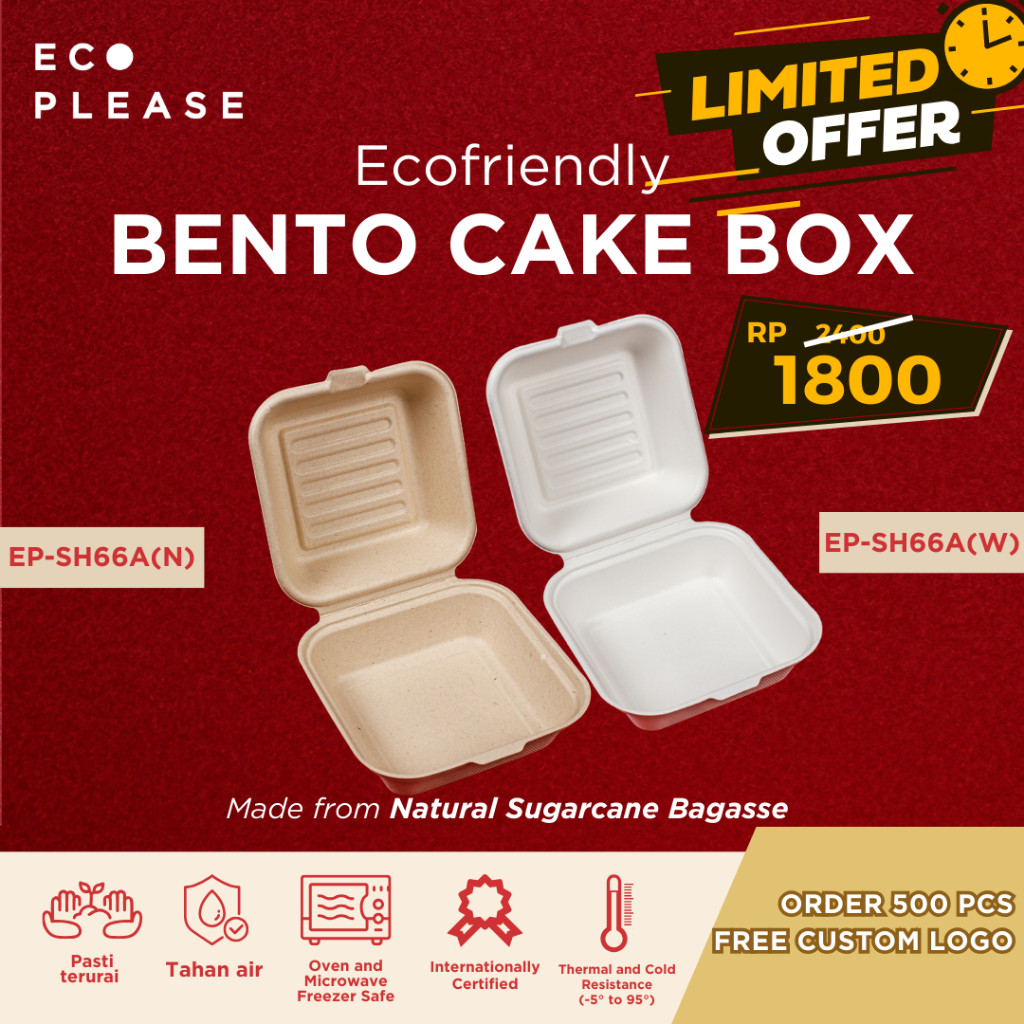 50pcs Bagasse Box Bento Cake Burger Box Korean Lunch Box