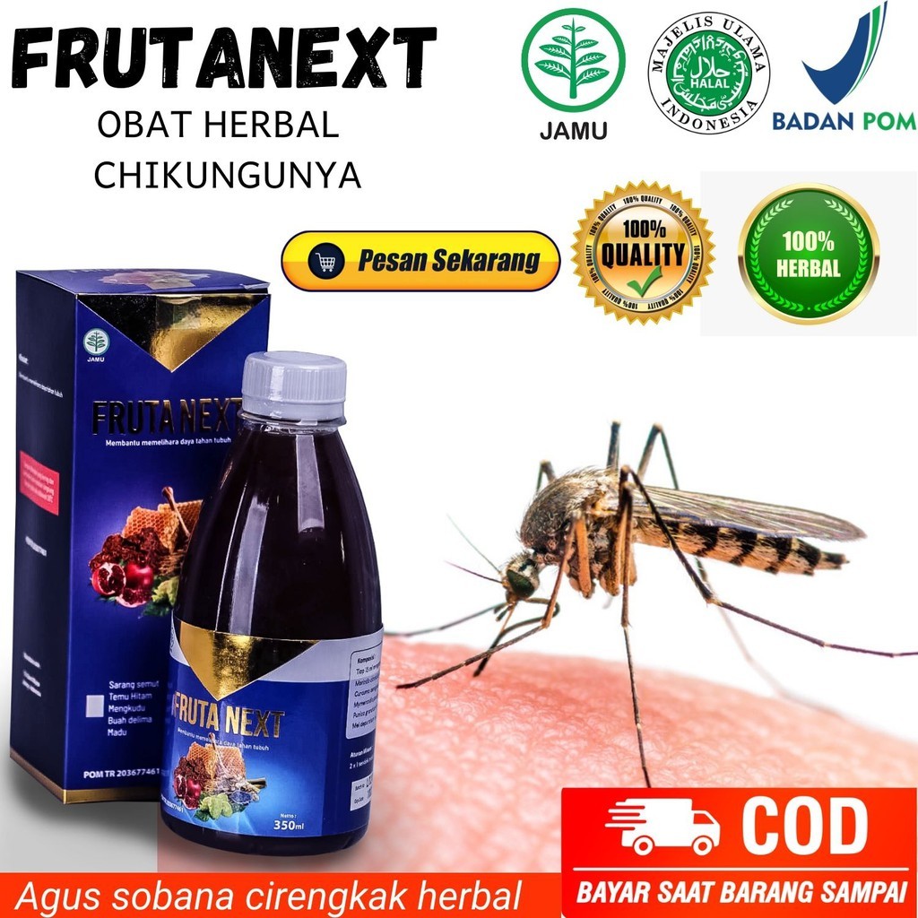 OBAT HERBAL CHIKUNGUNYA - DEMAM BERDARAH FRUTANEXT