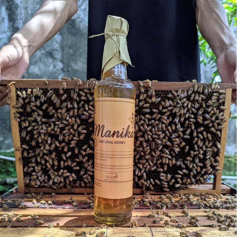 

DDN9SK Madu Murni Asli Original Tanpa Campuran 630 g Madu manika