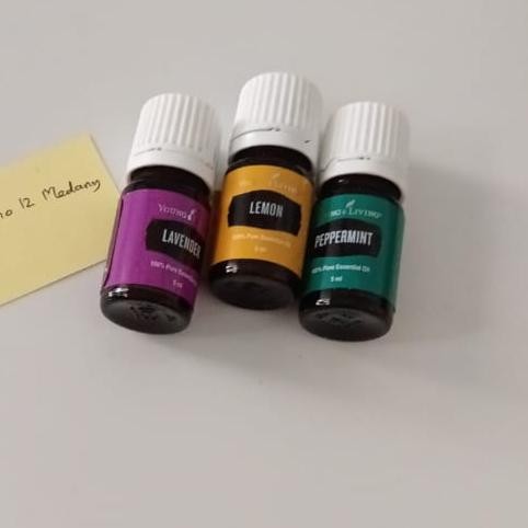 young essential living paket trio oil lavender peppermint lemon 5ml original