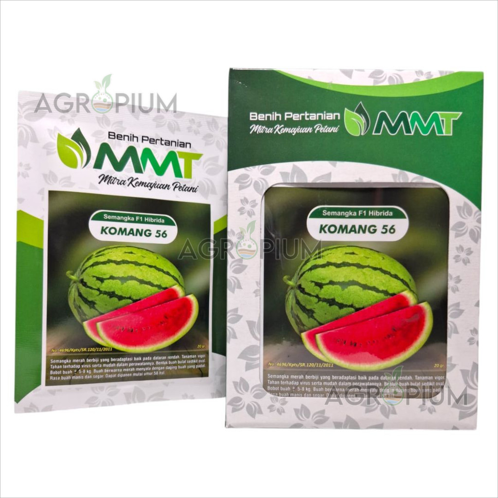 Benih Semangka Hibrida Komang 56 F1 Kemasan Pabrik 20 Gram