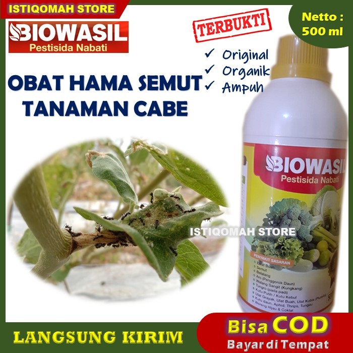 BIOWASIL 500ml Pestisida Nabati Obat Hama Pembasmi & Pengusir Semut Pada Tanaman Cabe yang Bagus Pal