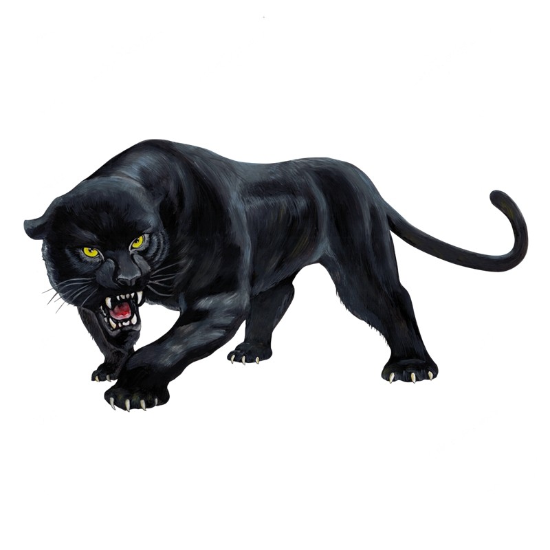

Wild Panther Removable Vinyl Decal Car Sticker Waterproof Accessories on Bumper Rear Window Laptop