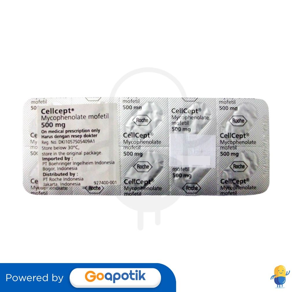 Cellcept 500 Mg Strip 10 Kaplet