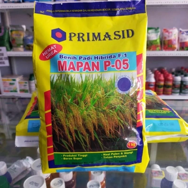 Ready Benih Padi Mapan 05 Daya Kecambah 80% Bibit Padi Super Unggul