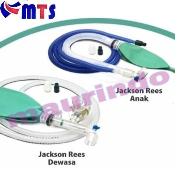 Jackson Rees Dewasa - Jackson Rees Bayi Onemed - DEWASA