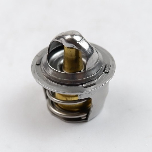 Thermostat Motor Yamaha Xeon - Aerox 125 5P0