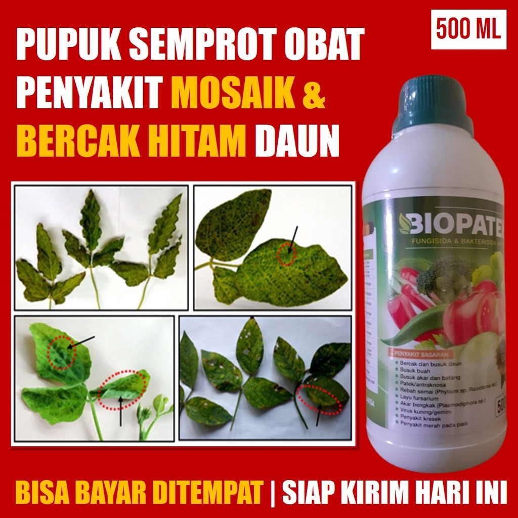 Obat Bercak Hitam daun Cabe Biopatek 500 ML - Pupuk Organik Atasi Bercak Daun Cabe/Cabai Mosaik Kere
