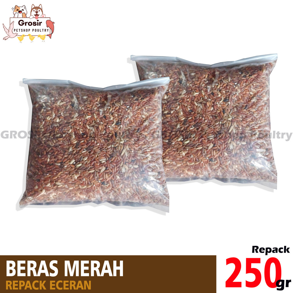 BERAS MERAH PAKAN MAKANAN BURUNG AYAM BANGKOK BERAS MERAH BERSIH