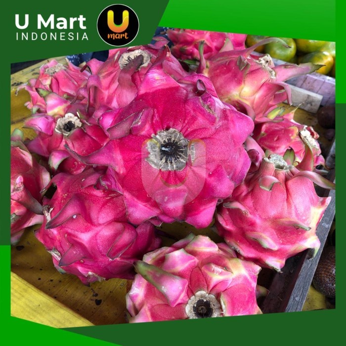 

U Mart - Buah Naga Merah Fresh 1 kg