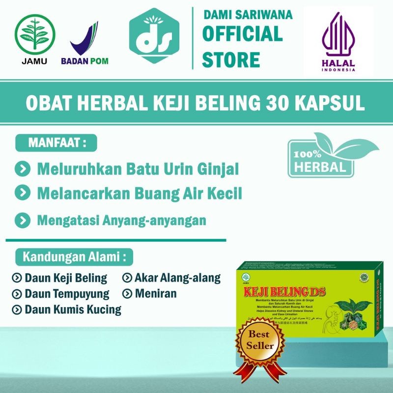 kapsul ekstrak keji beling