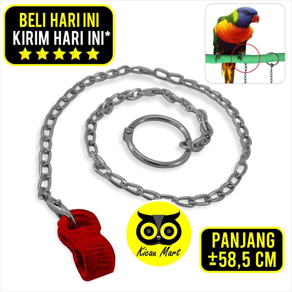 KICAU MART Rantai Kaki Burung Nuri Falk Parkit Parrot Hantu Borgol Kaki Burung Latih Training Burung