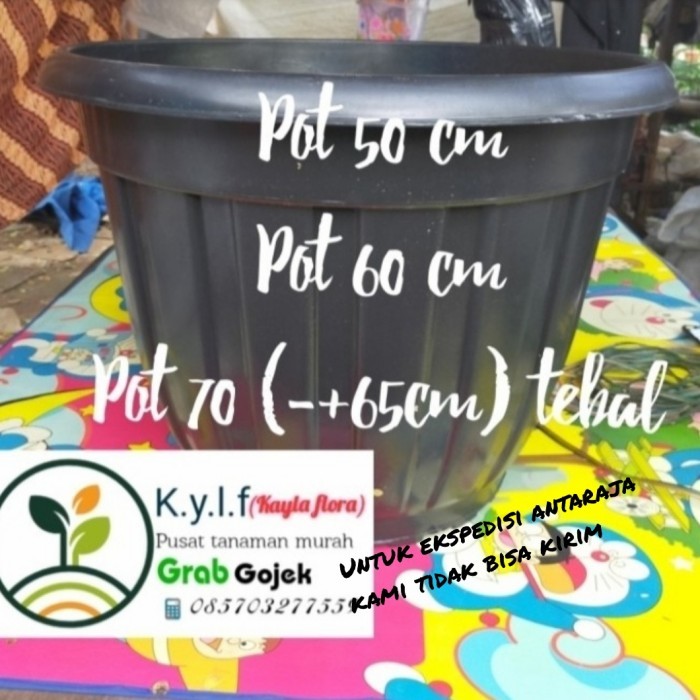 pot besar 70 / pot plastik / pot tanaman / pot / pot bunga / pot hitam - 60 cm