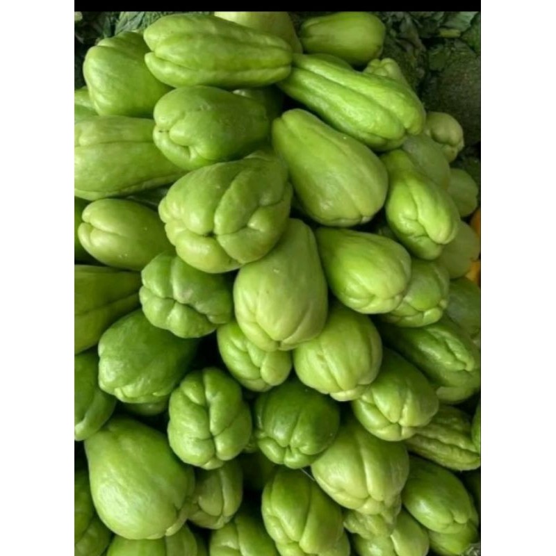 

labu siam besar 1kg