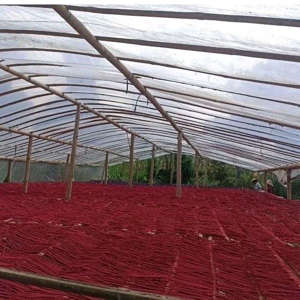 1 Kg Dupa Gunung Kawi Mentah / Belum Aroma LANGSUNG PRODUSEN AMJ FARM