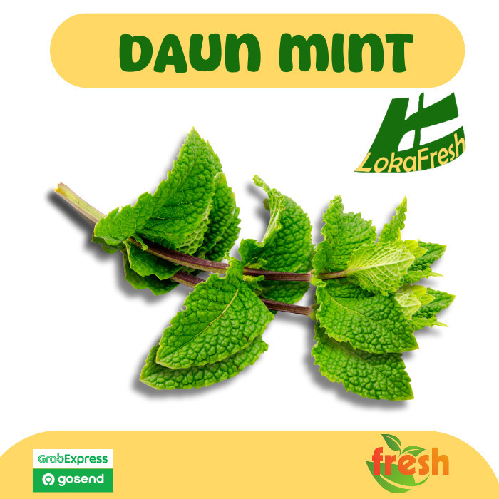 

Daun Mint/ Mint Leaf 50 gram