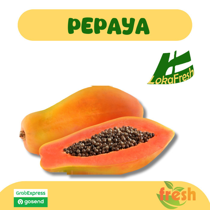 

Buah Pepaya California/ California Papaya