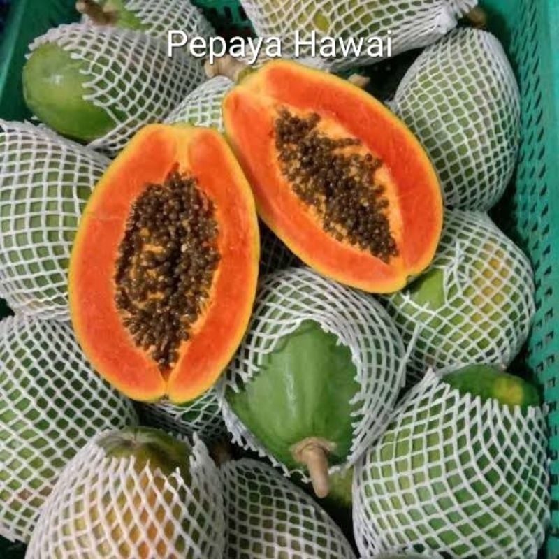 

Savina Buah88 Buah Pepaya California Matang /KG [KHUSUS INSTANT DAN SAMEDAY]