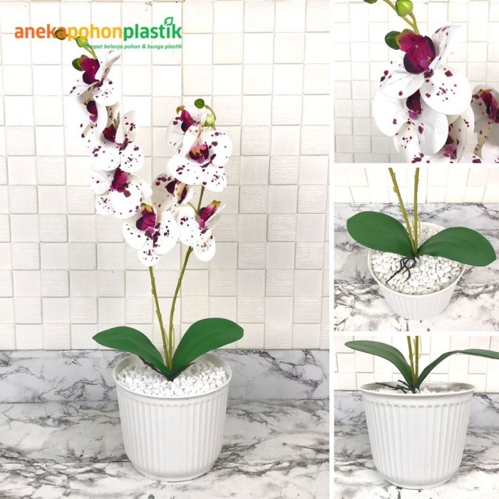 SH Bunga Hias Anggrek Bulan X2 Latex Artificial Pot Plastik Dekorasi Meja - Putih Ungu