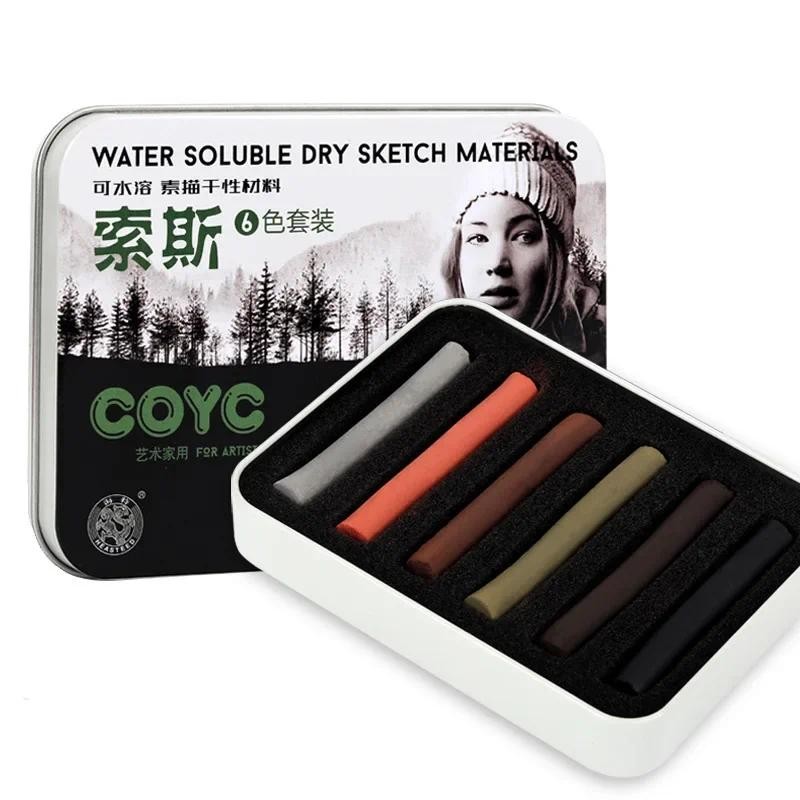 

6pcs Sketching Dry Powder Water-soluble Charcoal Sticks Dual Use of Dry and Wet Artist Painting Charcoal Pencils Art Supplies