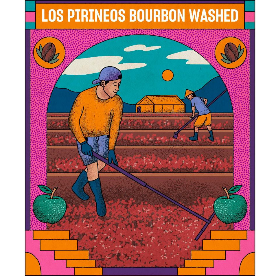 

Kopi Arabika Los Pirineos Bourbon Washed (100gram) Single Origin Specialty Coffee Arabica Beans