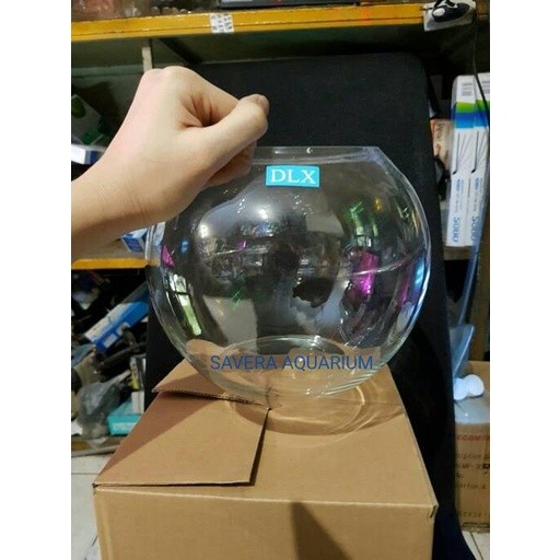 (GOJEK) AQUARIUM BULAT 4L - TOPLES KACA - DLX LUNA - AQUARIUM IKAN