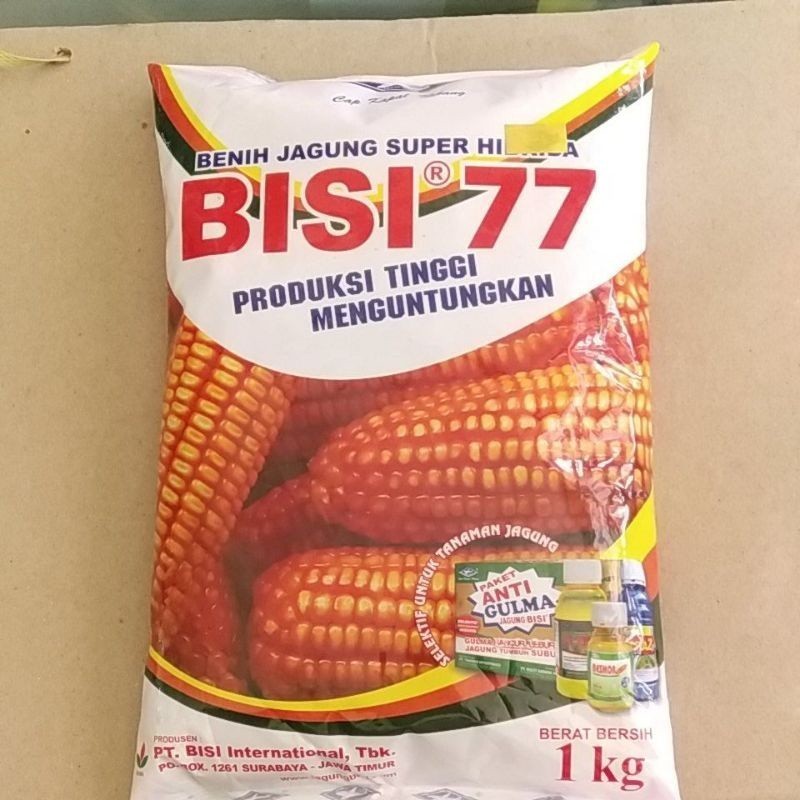 Benih Jagung Super Hibrida BISI 77 1Kg