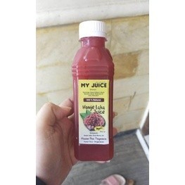 

Jus Honje Khas Pangandaran (jus kecombrang ) - Minuman Herbal 250ml