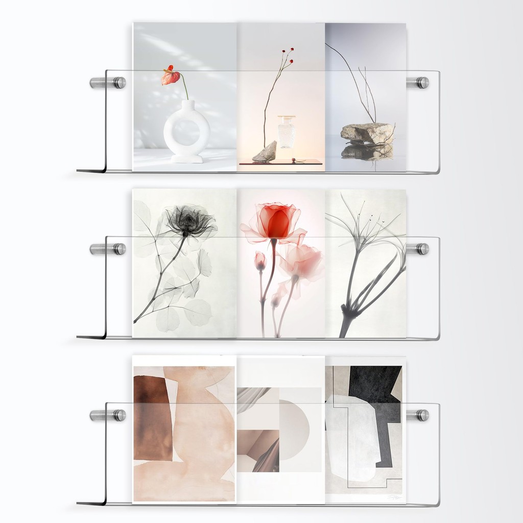 

Clear Acrylic Magazine Holder - Wall Mount Hanging Bookshelf Literature Storage Rack - Brochure File Display Shelf for Room