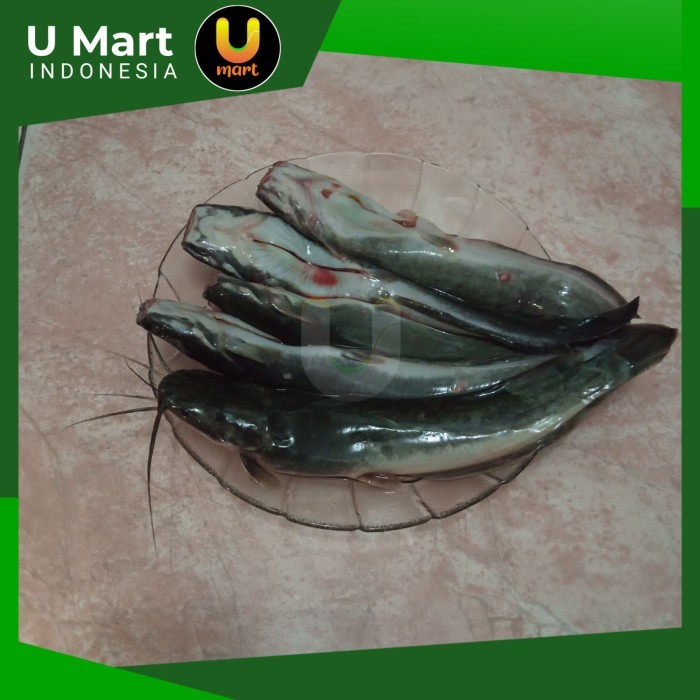 

U Mart - Ikan Lele Potong Segar 1 kg