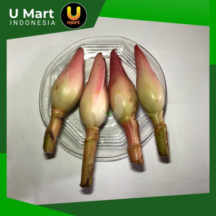 

U Mart - Bunga Kecombrang / Kincung Segar 1 kg