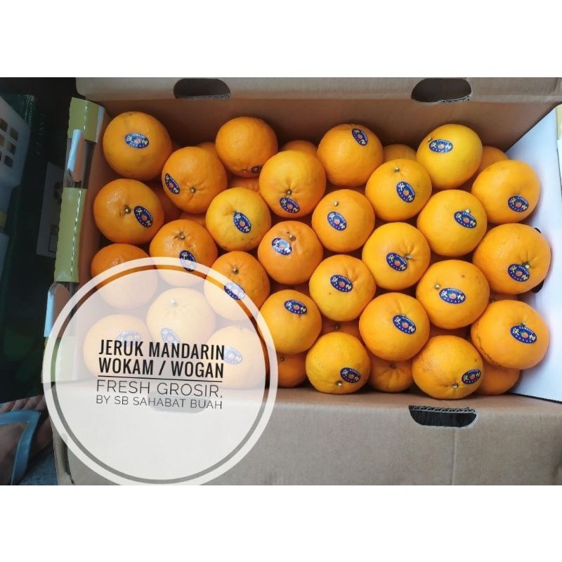 

UD BUAH 3 SMAUDARA BUAH JERUK MANDARIN WOKAM / WOGAN FRESH GROSIR 1 DUS