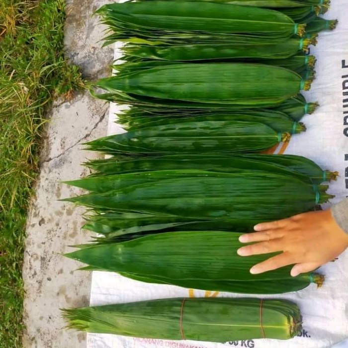 

Daun Bambu Pembungkus Bakcang/1 Lembar