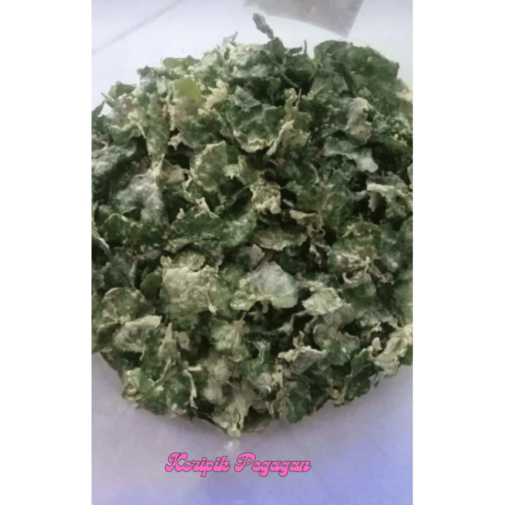 

VIRAL SALE kripik pegagan keripik daun pegagan keripik pegagan kripik rendeng