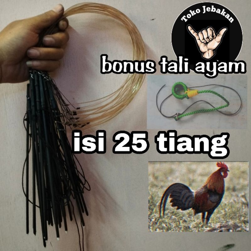 jerat ayam hutan 25 mata