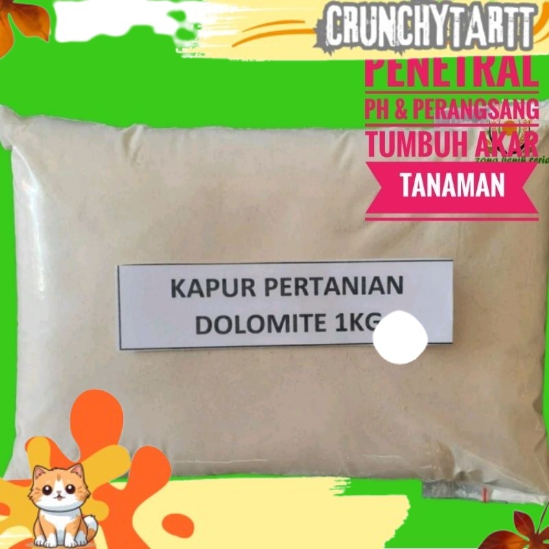 READY pupuk kapur dolomite kemasan repack 1 kg pupuk dolomite pupuk pertanian alas gecho ALING