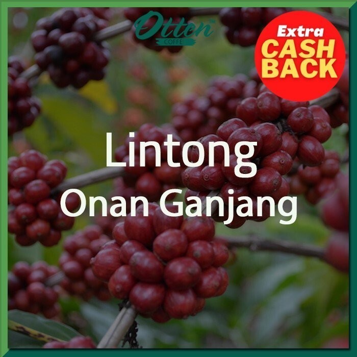

Green Bean Arabica Lintong Onan Ganjang - 1 Kg