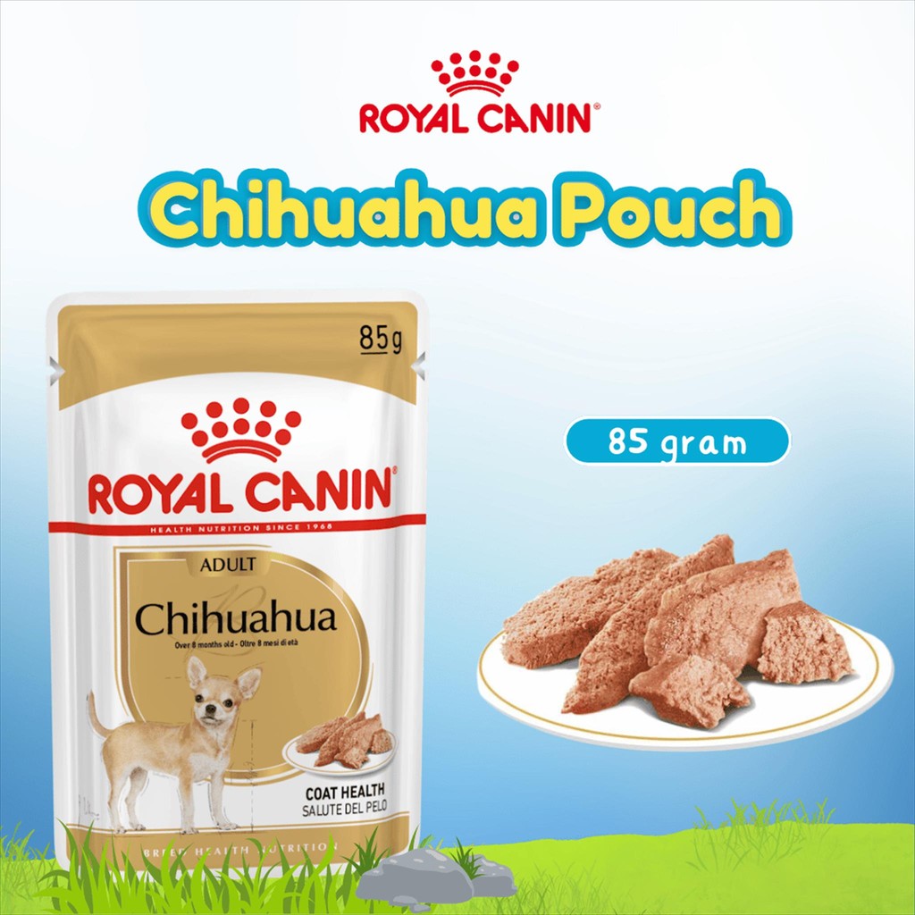 ROYAL CANIN WET CHIHUAHUA 85GR -ROYAL CANIN ANJING - CHIHUAHUA - MAKANAN ANJING - GROISR MURAH