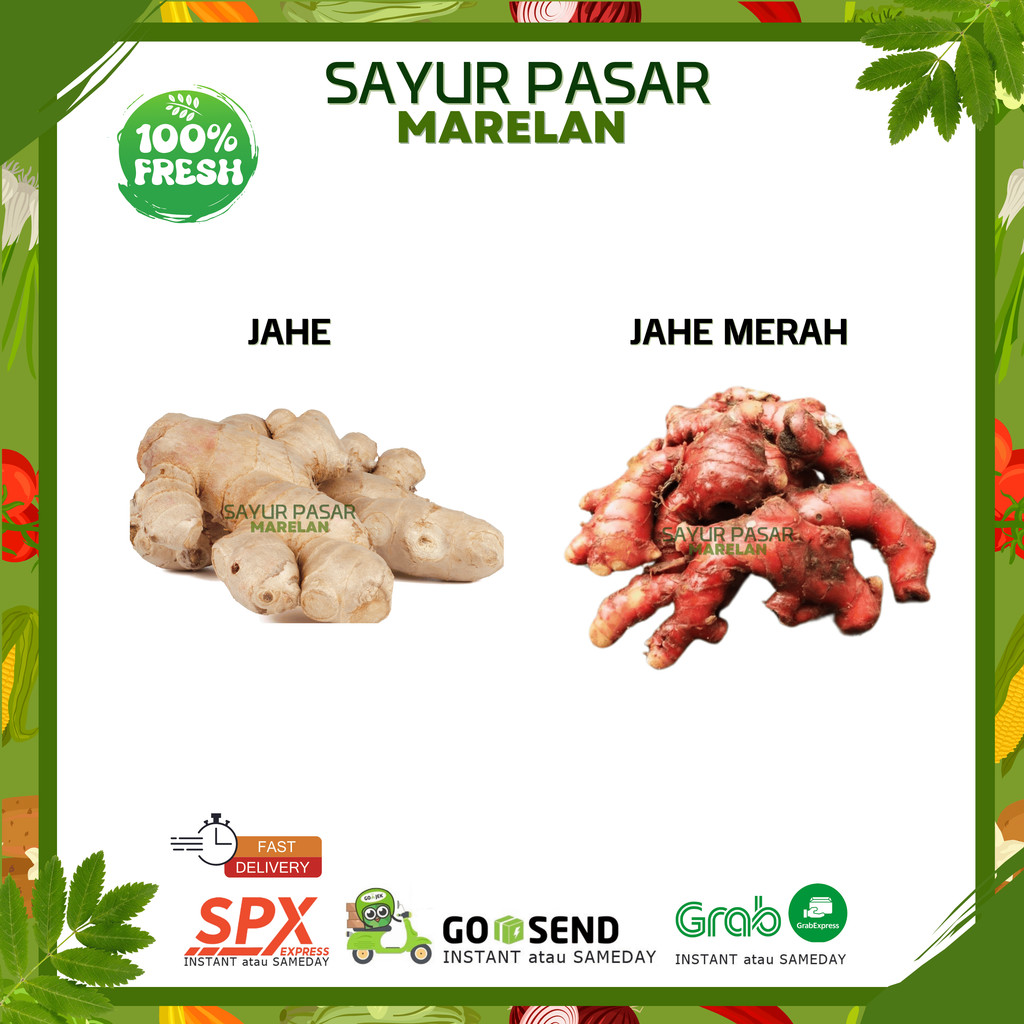 

JAHE EMPIT / JAHE GAJAH / JAHE PUTIH / JAHE MERAH - 100gr 250gr 500gr