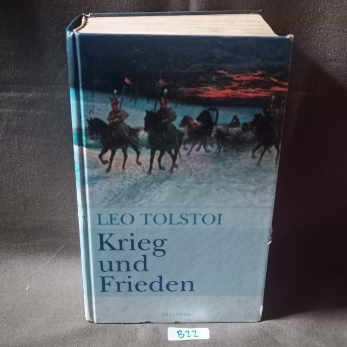 Leo Tolstoi - Krieg und Frieden