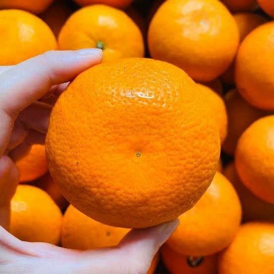 

Buah Jeruk Mandarin Murcot Manis - UD BUAH 3 SAUDARA [KHUSUS INSTANT DAN SAMEDAY]