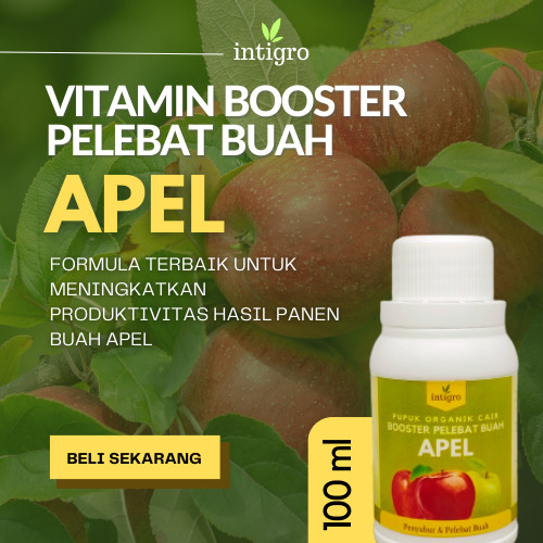 Pupuk Buah Apel Pupuk Booster Organik Pelebat Buah Apel Dan Perangsang Agar Cepat Berbuah / Pupuk Bo